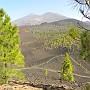 Teneriffa 2010 (53)